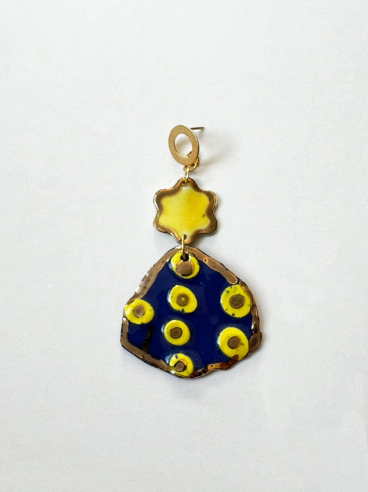 AROS ACEBO